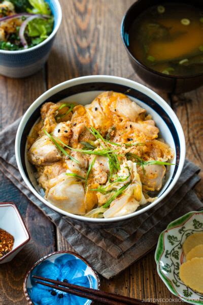 oyakodon urban dictionary|oyakodon just one cookbook.